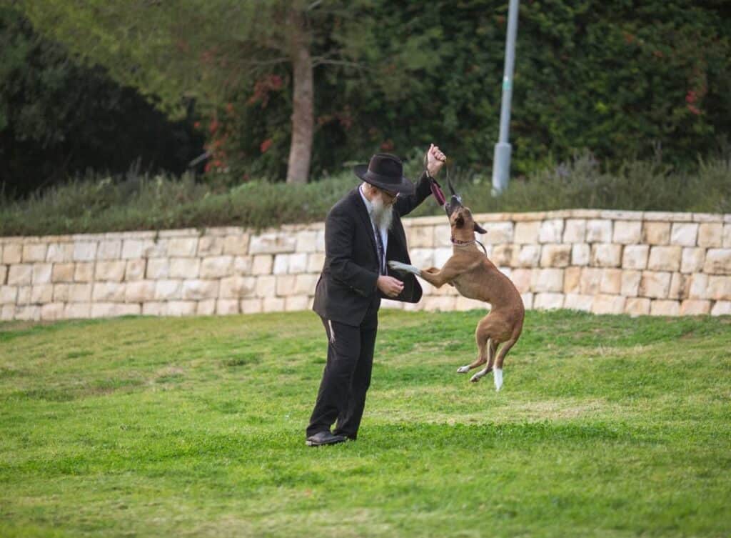While filming with the dog trainer. (The trainer is not seen in this shot. The producer actually hired a trainer for a 2 hour session.) Photo credit: Menachem Schloss